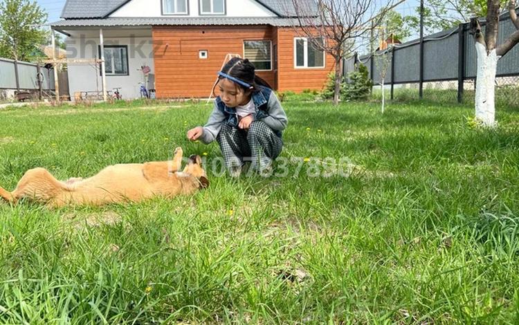 Дача · 5 комнат · 170 м² · 9 сот., Железнодорожная 92 — Возле трассы за 60 млн 〒 в Уральске — фото 2