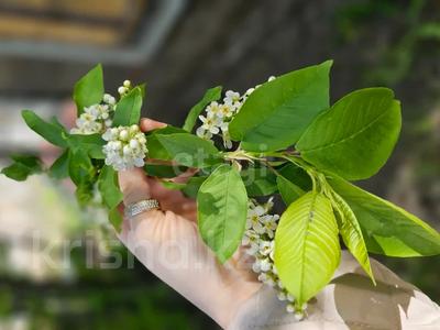 Дача · 1 комната · 25 м² · 8.65 сот., Притобольская 9 за 4.9 млн 〒 в Костанае