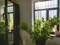 2-комнатная квартира · 50 м² · 2/3 этаж, Рахимова 57 за 23.5 млн ₸ в Таразе — фото 19
