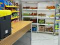 Магазины и бутики • 32 м² за 10.5 млн 〒 в Астане — фото 3