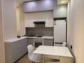 3-комнатная квартира · 74 м² · 9/12 этаж, Бегалина 7 — Толе би за 68 млн ₸ в Алматы, Медеуский р-н — фото 8