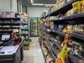 ГОТОВЫЙ БИЗНЕС ПРОДУКТОВЫЙ МАГАЗИН · 113 м² за 23.5 млн ₸ в Астане, Есильский р-н — фото 9