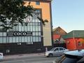 Еркін · 1000 м², бағасы: 320 млн ₸ в  — фото 10