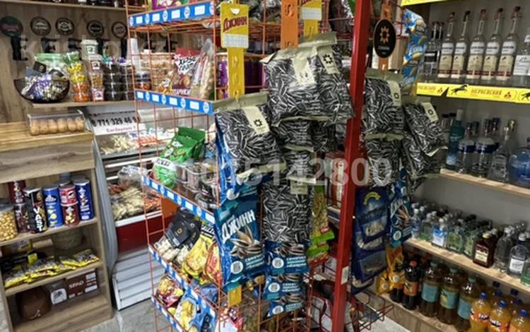 Готового бизнеса: Магазин разливного пива · 1 м² за 6 млн ₸ в Шымкенте, Каратауский р-н — фото 9