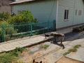 Отдельный дом · 4 комнаты · 80 м² · 11 сот., Железнодорожная 26 за 23 млн ₸ в Жезказгане — фото 4