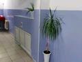 1-комнатная квартира · 28 м² · 18/18 этаж, Косшыгулулы 10/2 за 18 млн ₸ в Астане, Сарыарка р-н — фото 3