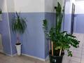1-комнатная квартира · 28 м² · 18/18 этаж, Косшыгулулы 10/2 за 18 млн ₸ в Астане, Сарыарка р-н — фото 4