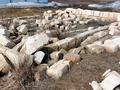 Участок · 15 соток, Алия молдагуловой 84 — Гагарина за 1.9 млн ₸ в Жетекши — фото 3