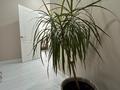 1-бөлмелі пәтер · 53 м² · 4/9 қабат, Мустафа Шокая 2В/2, бағасы: 13 000 ₸ в Актобе — фото 10