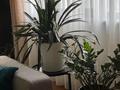 3-комнатная квартира · 119.8 м² · 3/4 этаж, мкр Мамыр-4 за 99 млн ₸ в Алматы, Ауэзовский р-н — фото 22