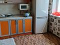 Отдельный дом · 5 комнат · 224 м² · 10 сот., А Шулгаубаев 35 — Центральная больница за 35 млн ₸ в Сарыагаш — фото 9