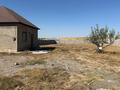 Отдельный дом · 2 комнаты · 60 м² · 25 сот., мкр Бозарык уч76 — Село Курлык вдоль трассы Алматинской за 20 млн ₸ в Шымкенте, Абайский р-н — фото 9