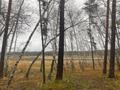 Участок · 4.5 га, Красный Кордон за 35 млн ₸ — фото 13