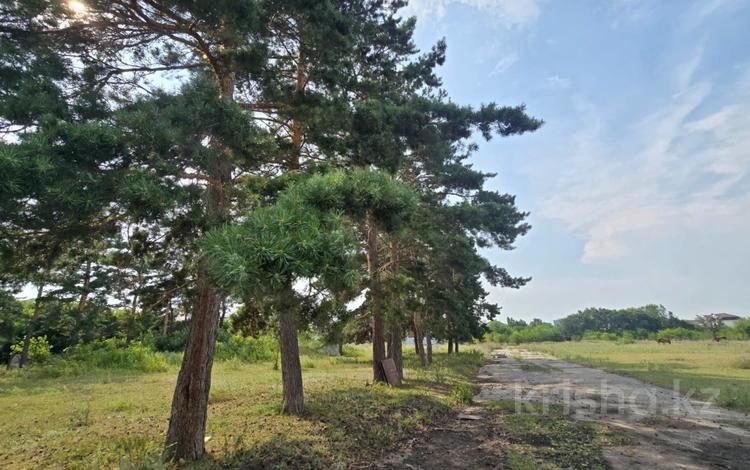 Жер телімі · 290 сотық, Транспортная 110, бағасы: 1.6 млрд ₸ в Костанае — фото 2