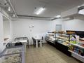 Қоғамдық тамақтану орны · 41.5 м², бағасы: 32.5 млн ₸ в Астане, Нура р-н — фото 7