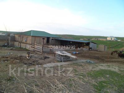 Сельское хозяйство • 2500 м² за 3 млн 〒 в Казыгурте