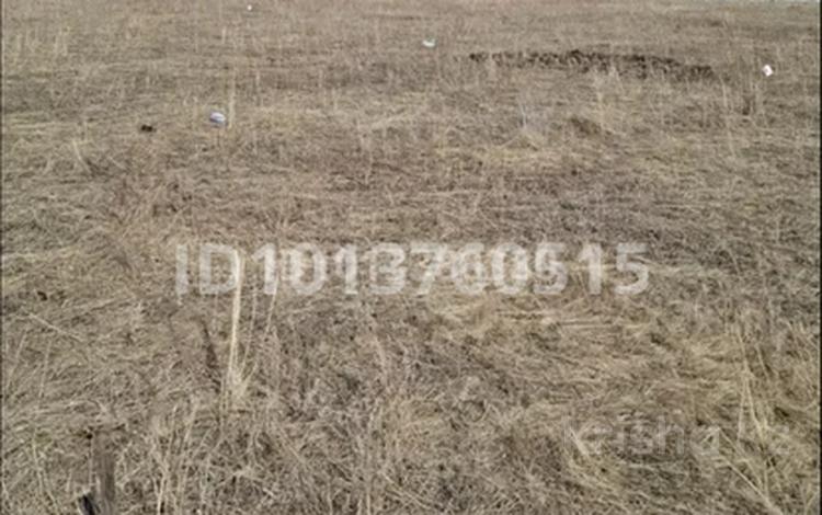 Участок · 12 соток, Малиновая 804 — Возле водоёма, реки, в предгорьях за 2.5 млн ₸ в Зеленом бору — фото 2