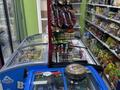 Магазины и бутики · 50 м² за 400 000 ₸ в Астане, Алматы р-н — фото 7