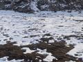 Участок · 10 соток, 9 мкр уч 40 — В сторону простокваши за 6.5 млн ₸ в Балхаше — фото 2