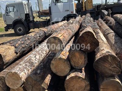 Дом пилорама вогончик станки · 30000 м² за 50 млн 〒 в Павлодаре