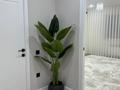 3-комнатная квартира · 105 м² · 5/6 этаж, 29а мкр 170 за 39.9 млн ₸ в Актау — фото 23