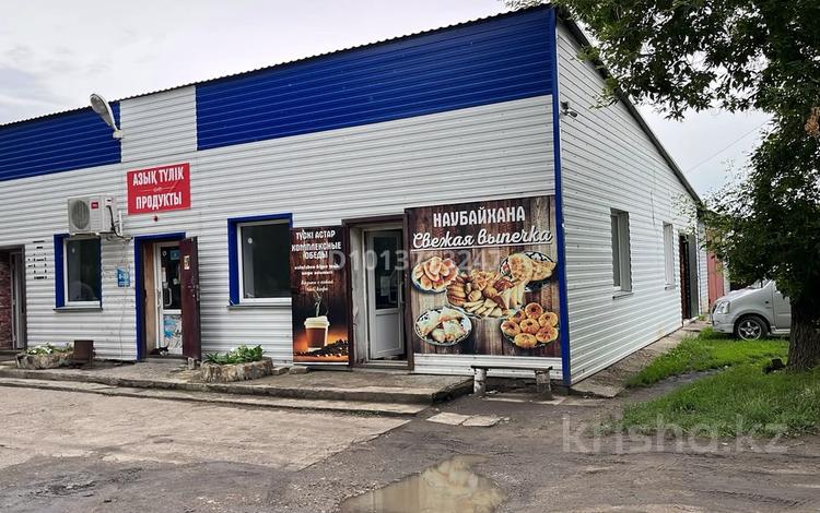 Дүкендер мен бутиктер, қоғамдық тамақтану орны · 168 м², бағасы: 36 млн ₸ в Сергеевке — фото 2