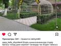 Общепит · 300 м² за 800 000 ₸ в Шымкенте, Аль-Фарабийский р-н — фото 8