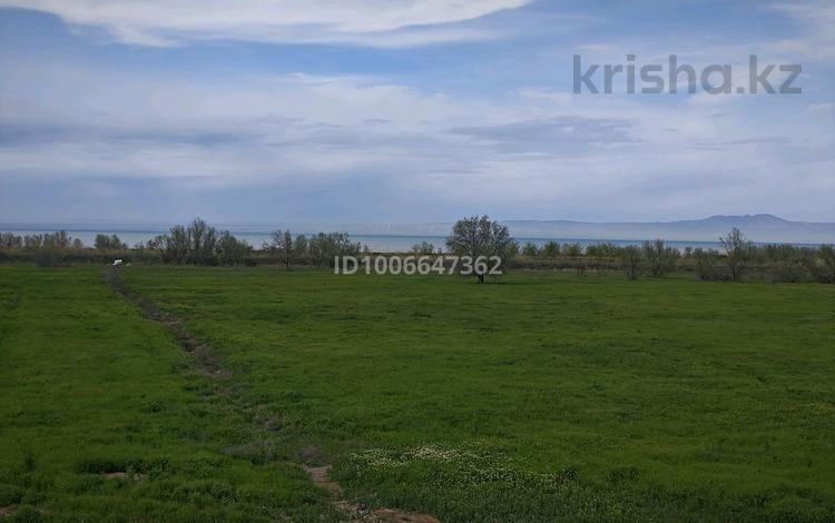 Участок · 1600 соток, Куш за 135 млн 〒 — фото 2