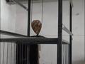 Склады · 1100 м² за 2.2 млн ₸ в Астане, р-н Байконур — фото 6