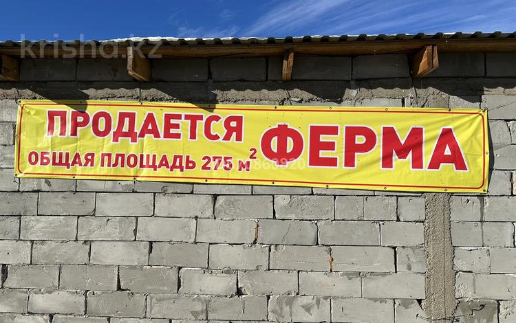 Сельское хозяйство · 280 м² за 32 млн 〒 в Таразе — фото 29