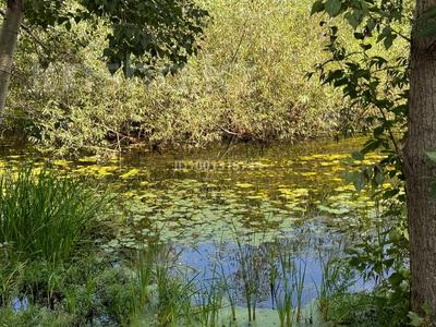 Отдельный дом · 4 комнаты · 150 м² · 37 сот., Маметова 9 за 75 млн 〒 в Жибек Жолы