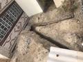 3-комнатная квартира · 60 м² · 1/2 этаж, 18 линия — Магазин У немца за 13 млн ₸ в Семее, Красный Кордон — фото 5