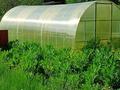 Дача · 2 комнаты · 30 м² · 8 сот., Гавань 6 — Возле реки Ульба за 3.2 млн ₸ в Усть-Каменогорске — фото 2