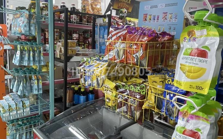 Готовый бизнес с помещением · 55 м², бағасы: 35 млн ₸ в Астане, Сарайшык р-н — фото 16