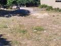Жер телімі · 8 сотық, мкр Бозарык, бағасы: 11 млн ₸ в Шымкенте, Абайский р-н — фото 3