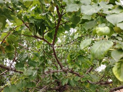 Отдельный дом · 4 комнаты · 100 м² · 1000 сот., Майлина 23 — Новостройка за 19 млн 〒 в Косозен