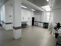 Медцентры и аптеки · 308 м² за 245 млн ₸ в Алматы, Наурызбайский р-н — фото 3