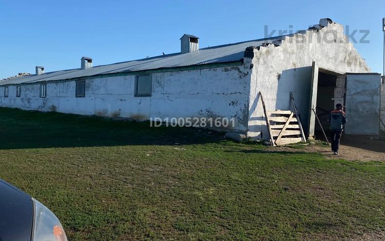 Фермерское хозяйство · 2000 м², бағасы: 65 млн 〒 в Лисаковске — фото 2