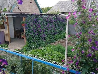 Жеке үй · 5 бөлме · 120 м² · 12 жүзд., Жангизкудук, бағасы: 15.5 млн ₸ в Жангызкудуке