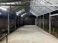 Отдельный дом · 6 комнат · 250 м² · 8 сот., мкр Асар-2 799 — 138 мектептын жанында за 57 млн ₸ в Шымкенте, Абайский р-н — фото 35