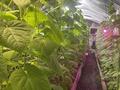 Отдельный дом · 4 комнаты · 96 м² · 21 сот., Мухамадиева 22 за 22 млн ₸ в Герасимовке — фото 15