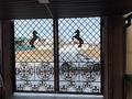 Свободное назначение · 1000 м² за 400 млн ₸ в Конаеве — фото 6