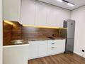 2-комнатная квартира · 44 м² · 16/17 этаж, Б. Момышулы 12 — Сатпаева за 23.5 млн ₸ в Астане, Алматы р-н — фото 4