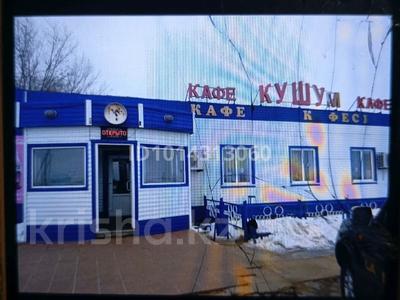Еркін, қоғамдық тамақтану орны · 1000 м², бағасы: 55 млн ₸ в Кушум