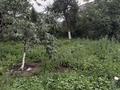Участок · 4 сотки, Райымбека 59 — Латифа хамиди за 15.5 млн ₸ в Талгаре — фото 19