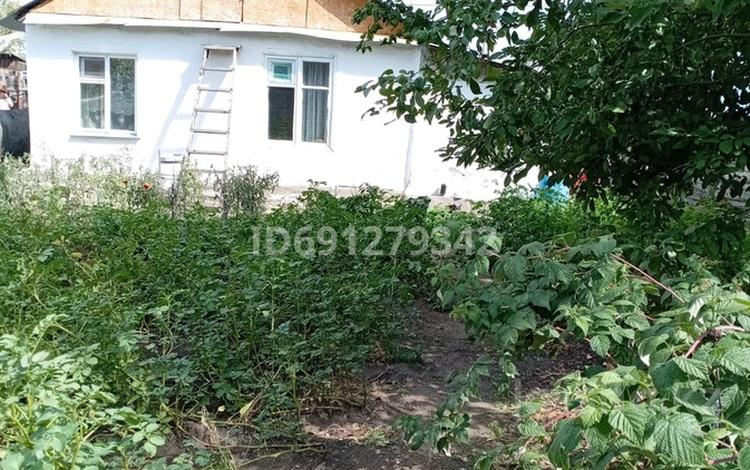 Отдельный дом · 2 комнаты · 50 м² · 4 сот., Водников 174 — Достоевского и Водников за 18 млн ₸ в Павлодаре — фото 15