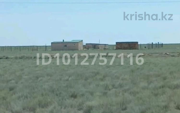 Участок · 10 га, Қызыл кум 142/2 — Жолдың боиы 47 км за 5.1 млн ₸ в Курыке — фото 2