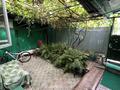 Отдельный дом · 2 комнаты · 52 м² · 1 сот., Абдирова 45/3 — Возле ТЦ Максима за 29.5 млн ₸ в Алматы, Жетысуский р-н — фото 11