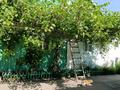 Отдельный дом · 4 комнаты · 65 м² · 19 сот., Керимбекова 59 за 35 млн 〒 в Жамбыле — фото 11