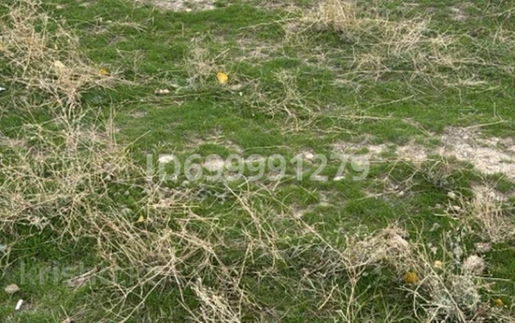 Жер телімі · 16 сотық, Баласагун 93 — Возле арки Тараз, бағасы: 10 млн ₸ — фото 3